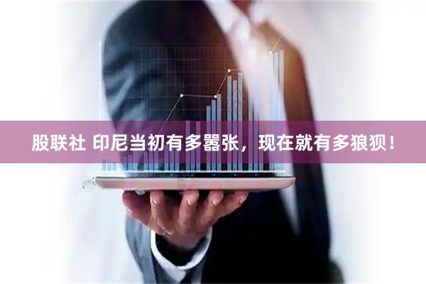 股联社 印尼当初有多嚣张，现在就有多狼狈！